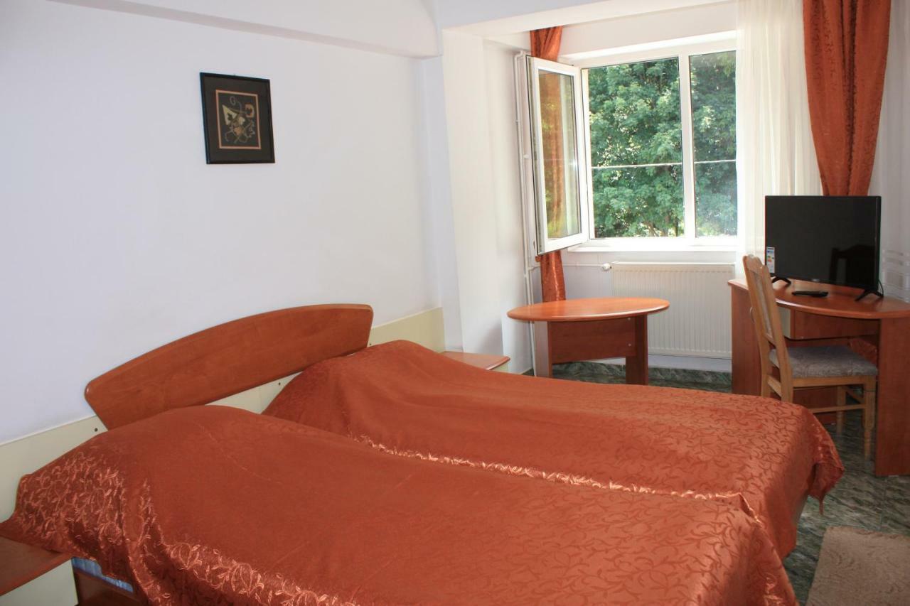 Vila Mihail Hotel Busteni Ngoại thất bức ảnh