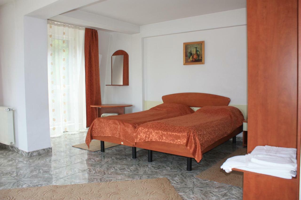 Vila Mihail Hotel Busteni Ngoại thất bức ảnh